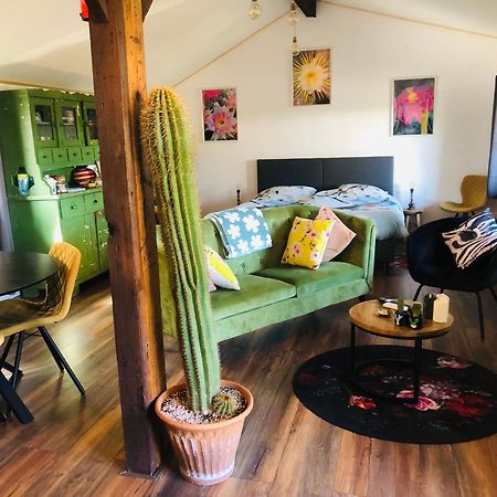 B &B Yuupke Maasbree Noord-Limburg Venlo Roermond Bed & Breakfast Eksteriør bilde