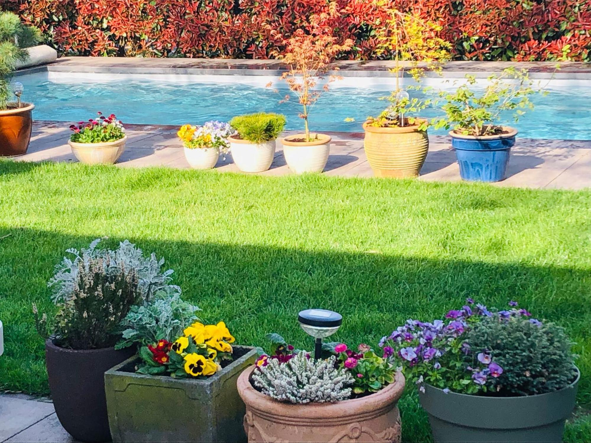 B &B Yuupke Maasbree Noord-Limburg Venlo Roermond Bed & Breakfast Eksteriør bilde